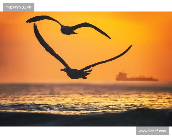 飞天羽翼翱翔九天，羽士仙姿尽展大话